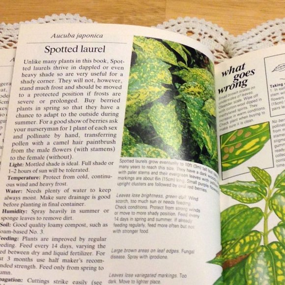 3 for $10 book sale! Vintage Gardening Book, Window Box & Balcony Plants - Picture 5 of 7